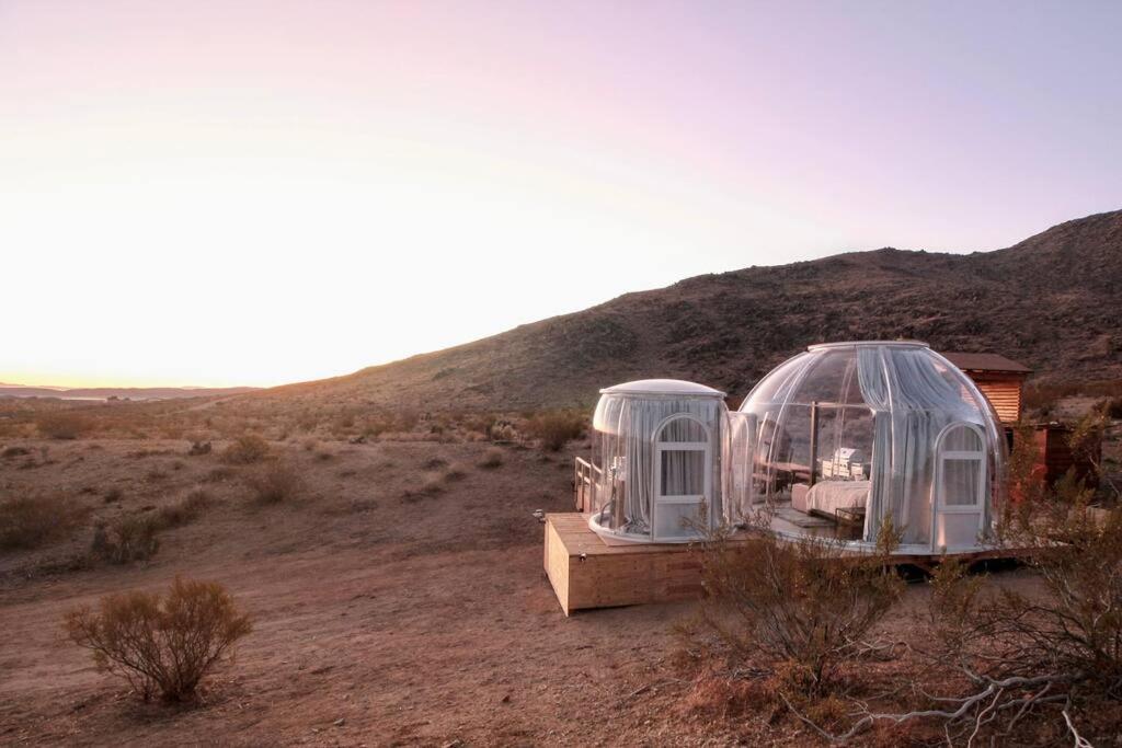 Jthavn-Joshua Tree Remote Dessert Bubble Dome Bagian luar foto