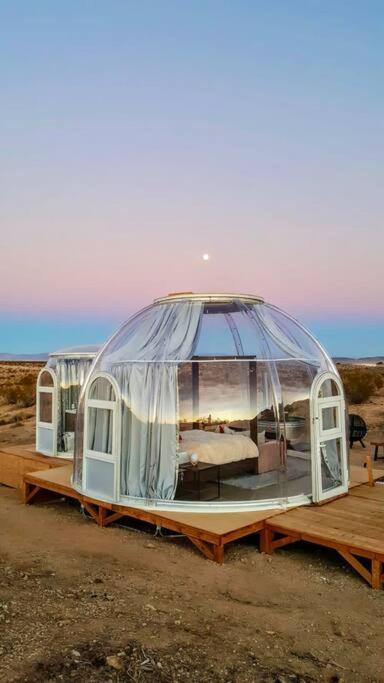 Jthavn-Joshua Tree Remote Dessert Bubble Dome Bagian luar foto